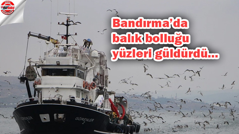 Bandırma'da balık bolluğu yüzleri güldürdü