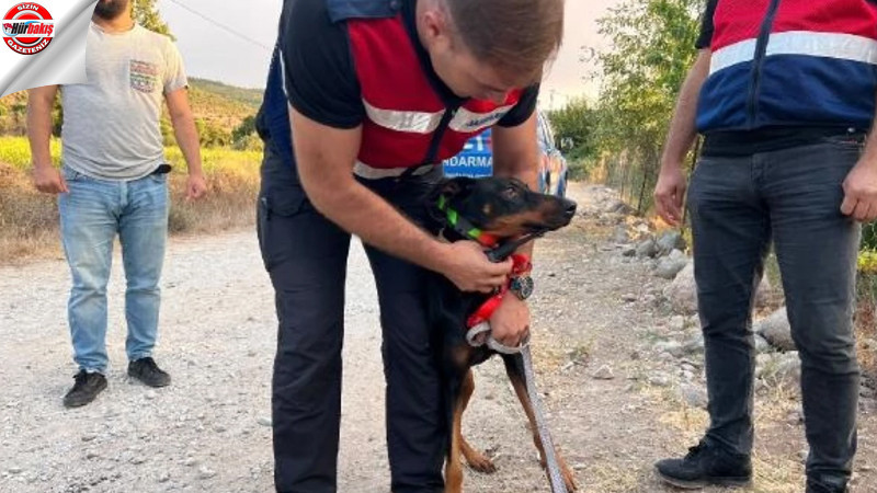 Emekli ekonomistin kaybolmasıyla ilgili arama çalışmaları devam ediyor 