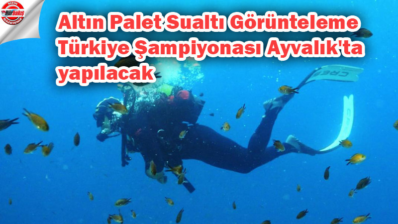 Altın Palet Sualtı Görünteleme Türkiye Şampiyonası Ayvalık'ta yapılacak