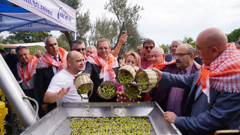 Ayvalık'ta ilk hasat ve zeytinyağı sıkımı yapıldı